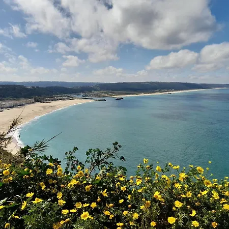 Freistehende Mit Beheiztem Pool In Der Naehe Von Straenden Und Der Reizvollen Stadt Sao Martinho Do Porto, * Sao Martinho do Porto